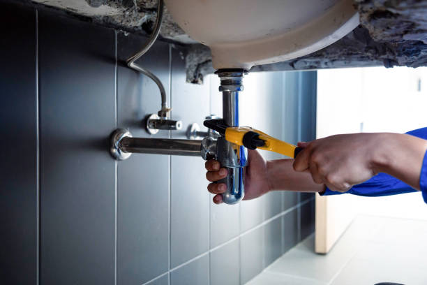 Best Garbage Disposal Repair and Installation  in Sans Souci, SC